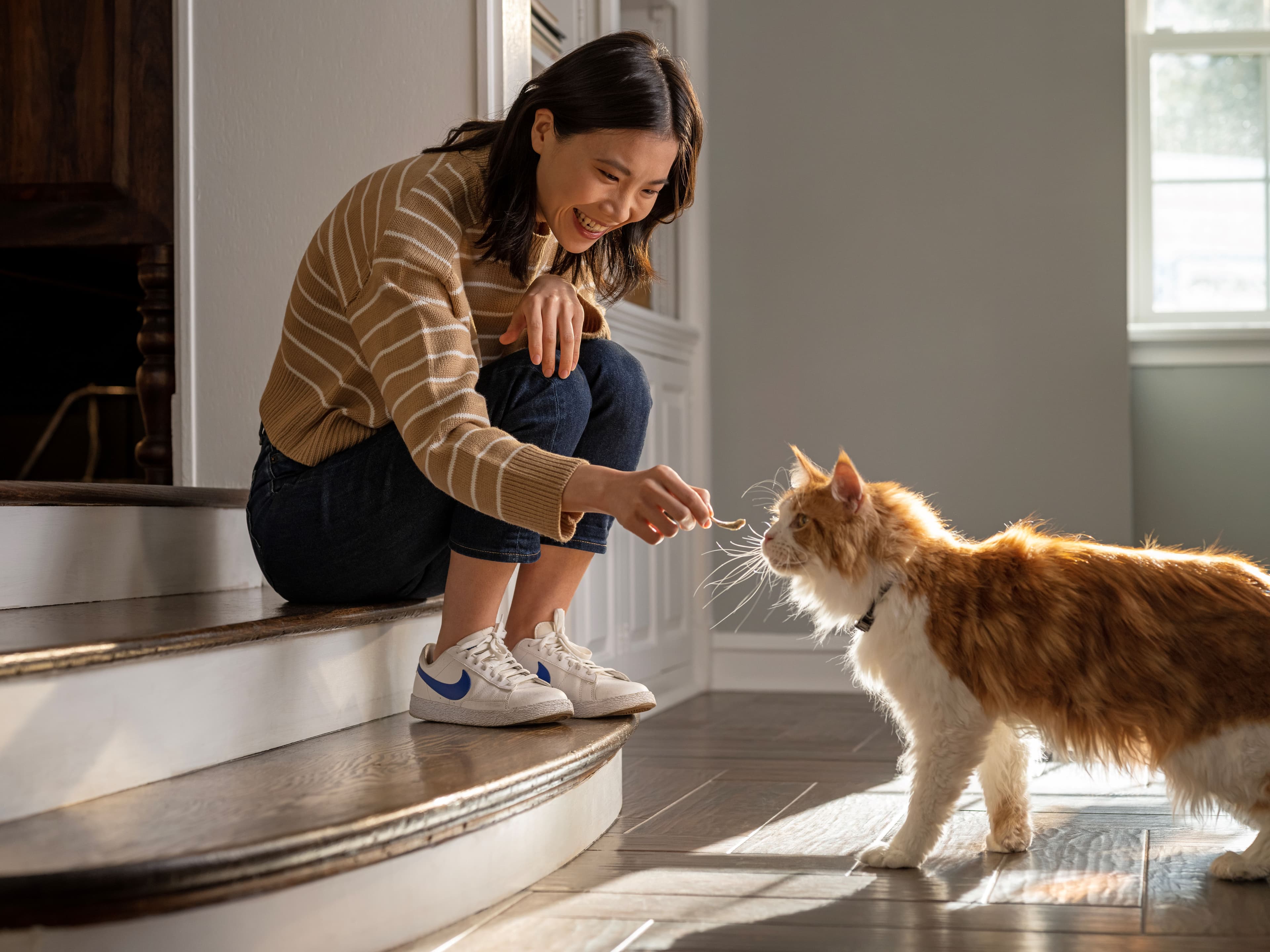 A woman crouches near stairs, smiling as she feeds minnows to an orange and white cat in a sunlit room.