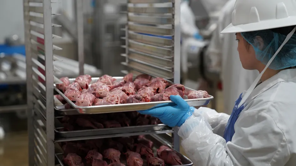 A worker wearing protective gear handles trays of raw meat in a food processing facility.