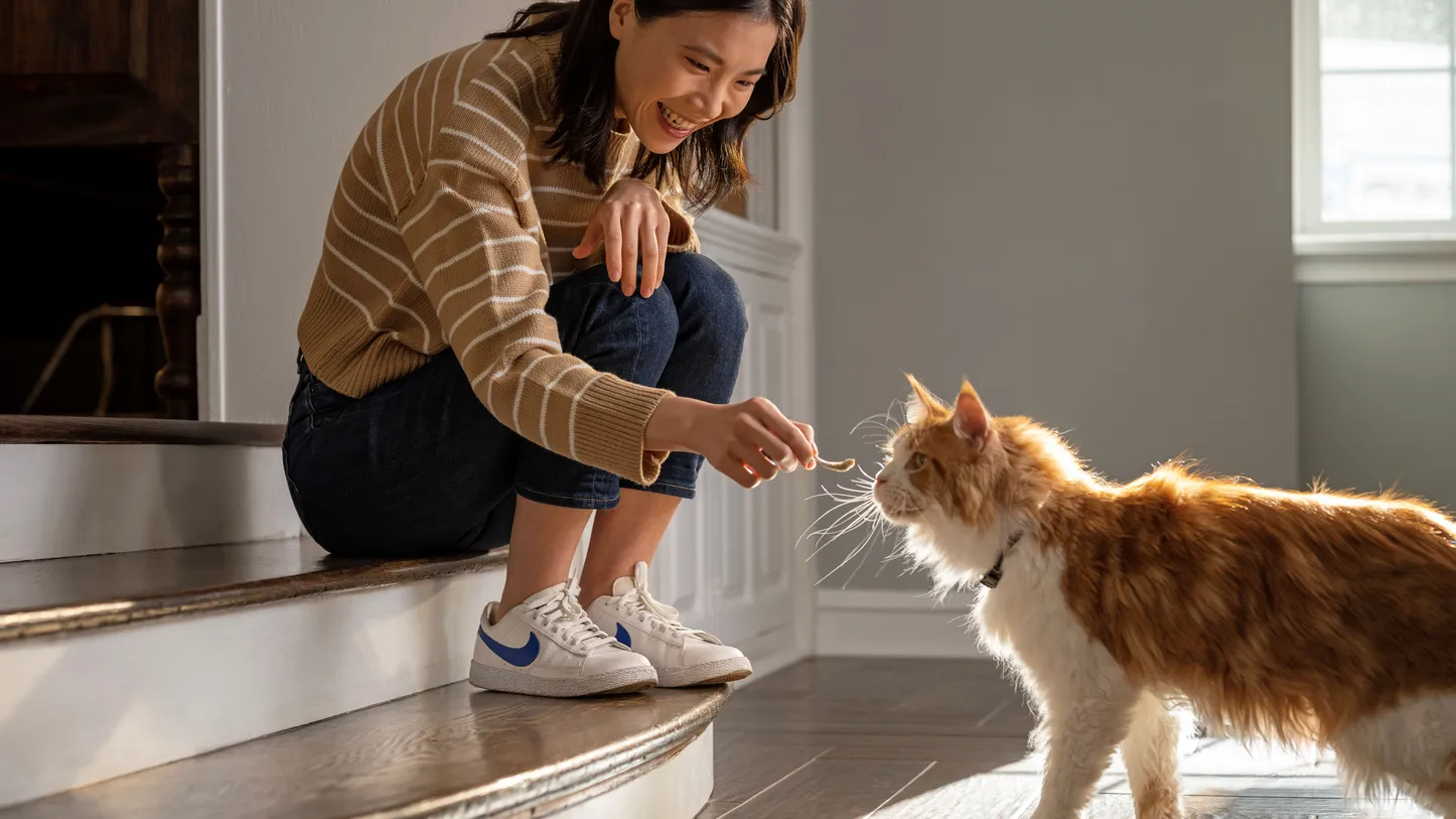 A woman crouches near stairs, smiling as she feeds minnows to an orange and white cat in a sunlit room.