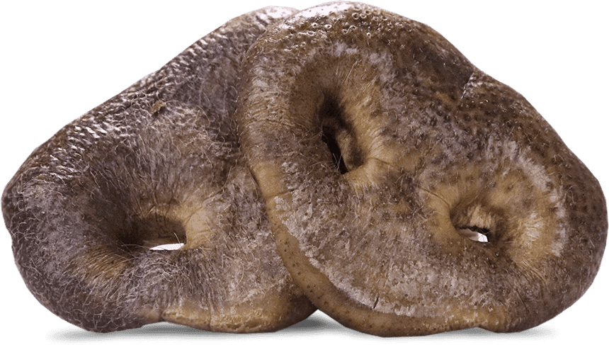 8507_VE_FD_Dog_RawBarSnacks_PigSnouts_Nutrition_Transparent.png